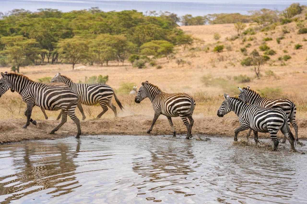 Lake Nakuru Lodge Exterior photo